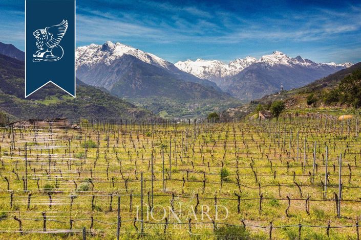 Image No.11-16 Bed Farmhouse for sale