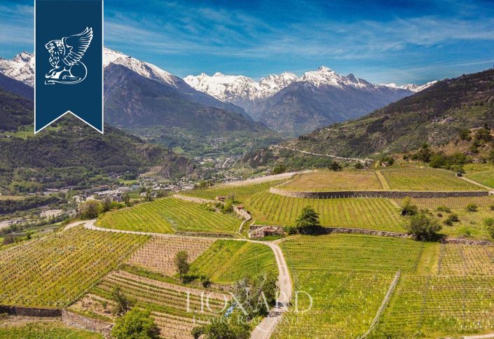 Image No.17-16 Bed Farmhouse for sale