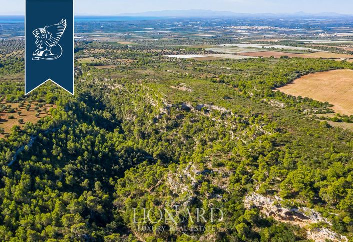 Image No.39-12 Bed Country House for sale