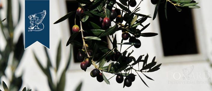 Image No.13-5 Bed Country House for sale