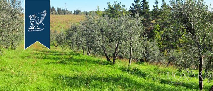 Image No.3-5 Bed Country House for sale