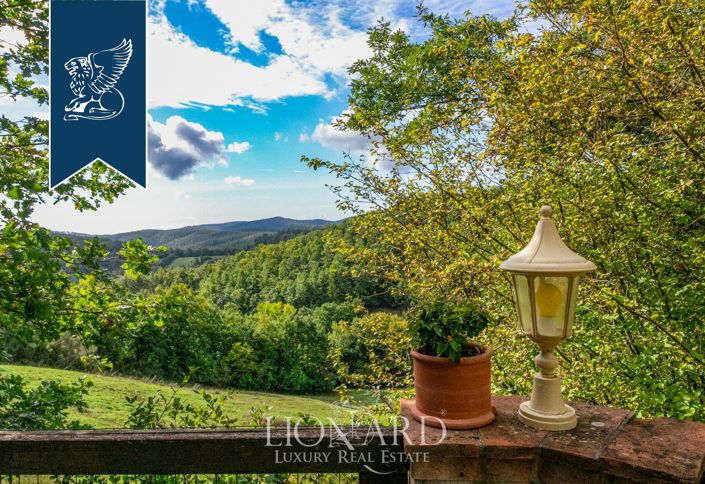 Image No.20-7 Bed Farmhouse for sale