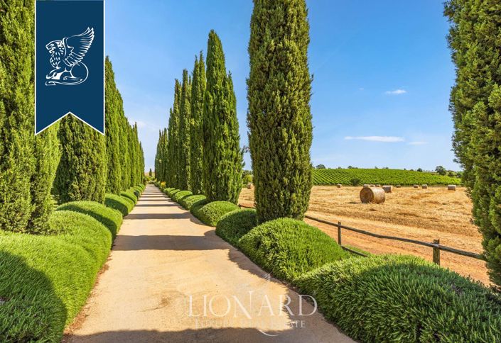 Image No.16-15 Bed Farmhouse for sale