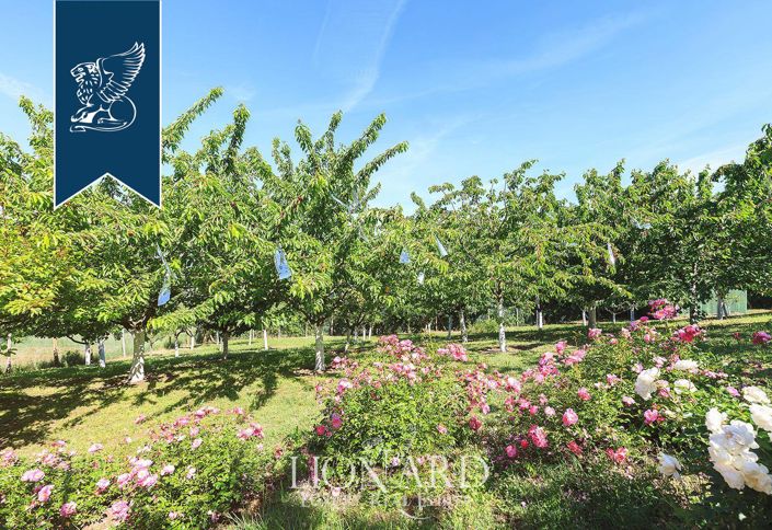 Image No.13-5 Bed Villa for sale