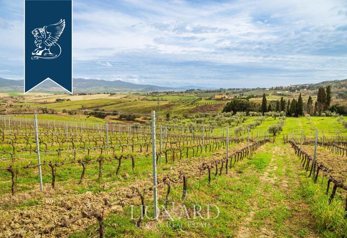 Image No.20-140 Bed Farmhouse for sale