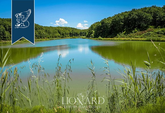 Image No.43-20 Bed Farmhouse for sale