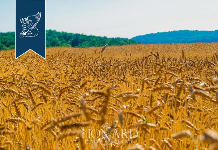 Image No.47-20 Bed Farmhouse for sale