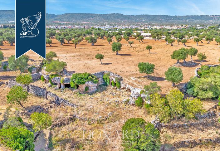 Image No.6-16 Bed Country House for sale