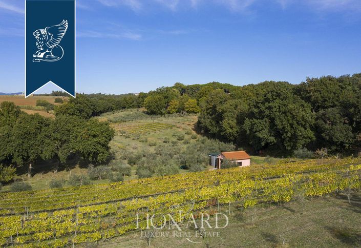 Image No.31-7 Bed Farmhouse for sale