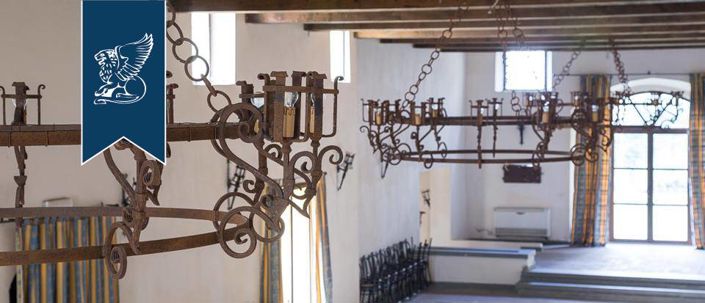 Image No.28-Villa de 15 chambres à vendre à Castelfiorentino