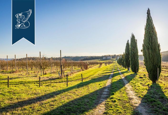 Image No.12-16 Bed Country House for sale