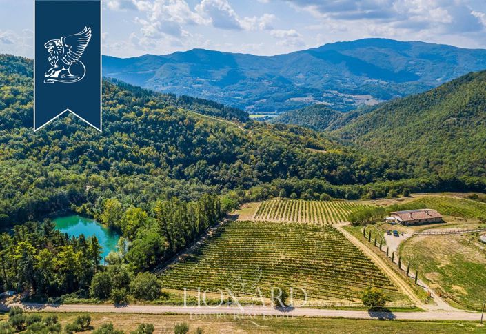 Image No.7-35 Bed Farmhouse for sale