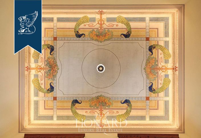 Image No.49-20 Bed Villa for sale