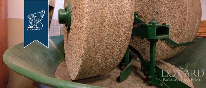 Image No.51-50 Bed Farmhouse for sale