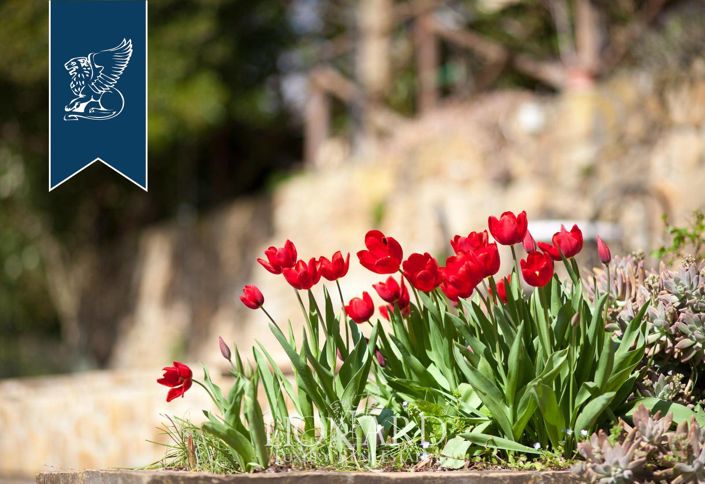 Image No.15-6 Bed Farmhouse for sale