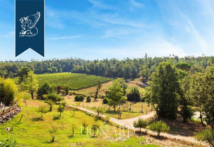 Image No.18-20 Bed Farmhouse for sale