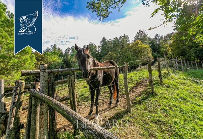 Image No.32-106 Bed Hotel for sale