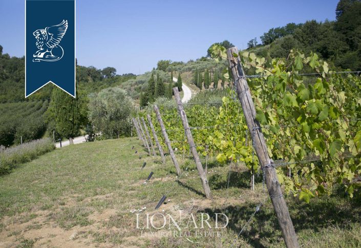 Image No.20-9 Bed Farmhouse for sale