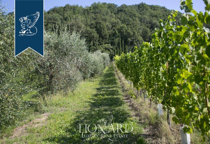 Image No.21-9 Bed Farmhouse for sale