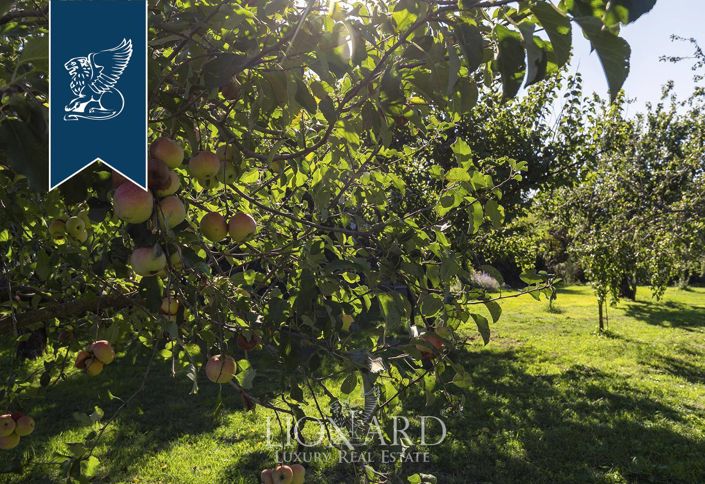 Image No.18-12 Bed Villa for sale