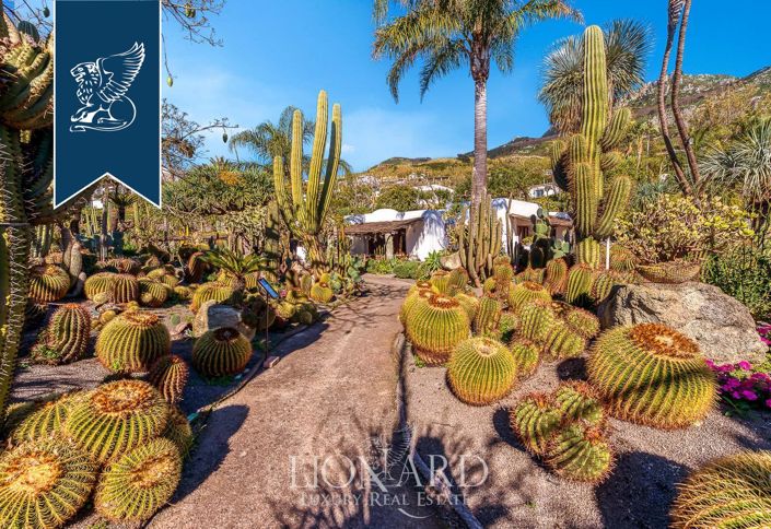 Image No.12-20 Bed Villa for sale