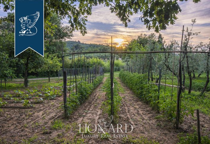 Image No.19-10 Bed Villa for sale