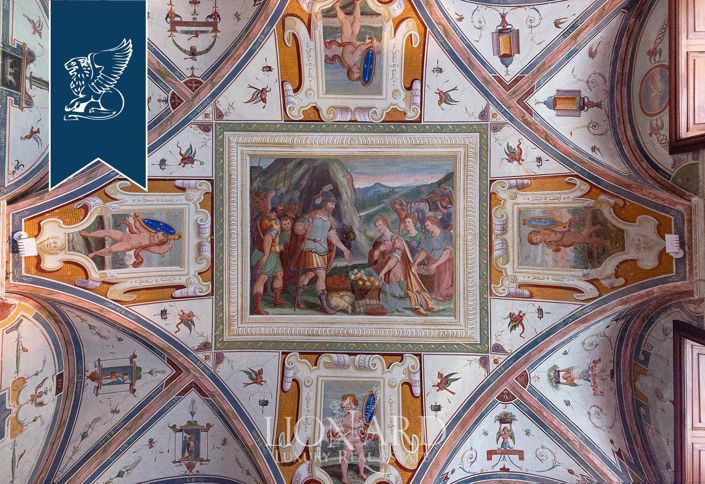 Image No.46-20 Bed Villa for sale