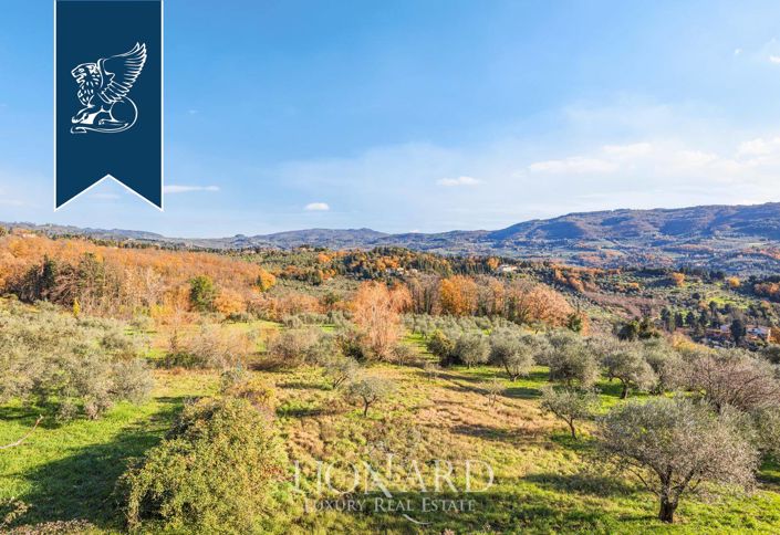 Image No.11-30 Bed Farmhouse for sale