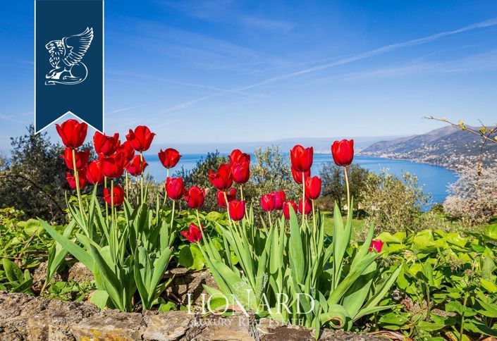 Image No.33-10 Bed Villa for sale