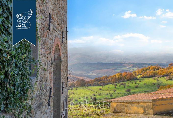 Image No.9-40 Bed Country House for sale