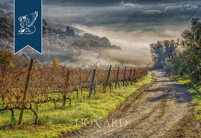 Image No.10-15 Bed Farmhouse for sale