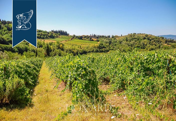 Image No.2-15 Bed Farmhouse for sale