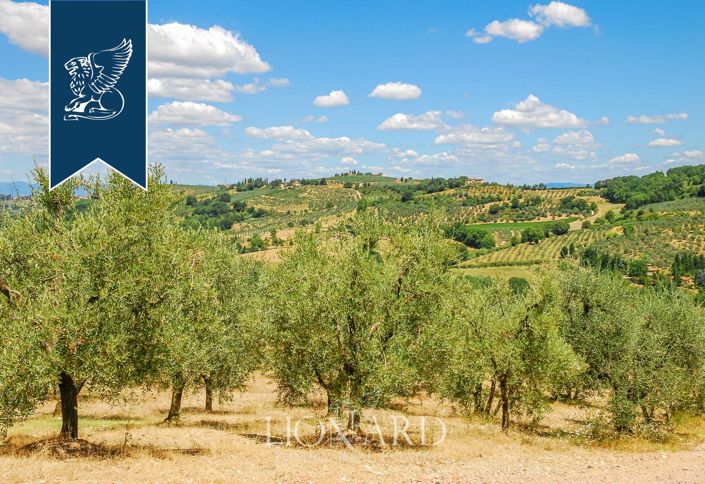 Image No.7-15 Bed Farmhouse for sale