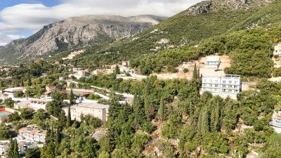 DJI_20251023115258_0557_D