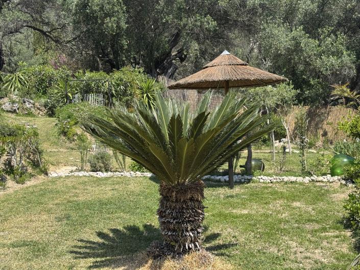 Image No.4-2 Bed House for sale