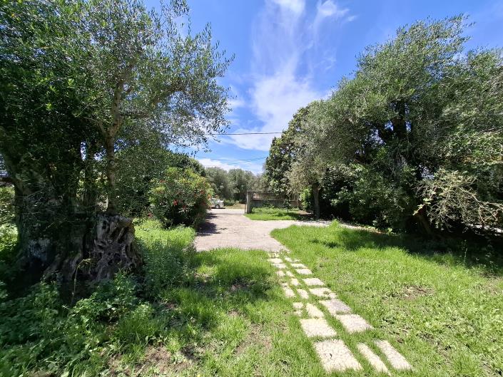 Image No.14-2 Bed House for sale