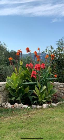 Image No.11-3 Bed Villa for sale