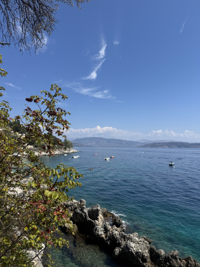 Image No.2-Plot for sale