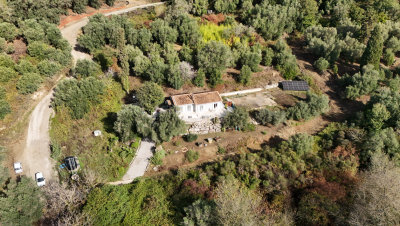 Screenshot-2025-10-23-113437