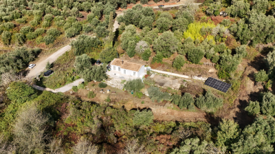 Screenshot-2025-10-23-113447