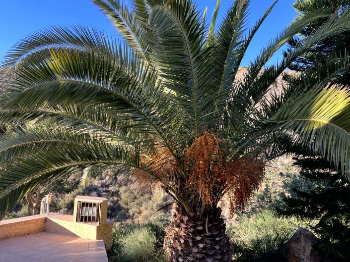 Image No.28-11 Bed Country House for sale