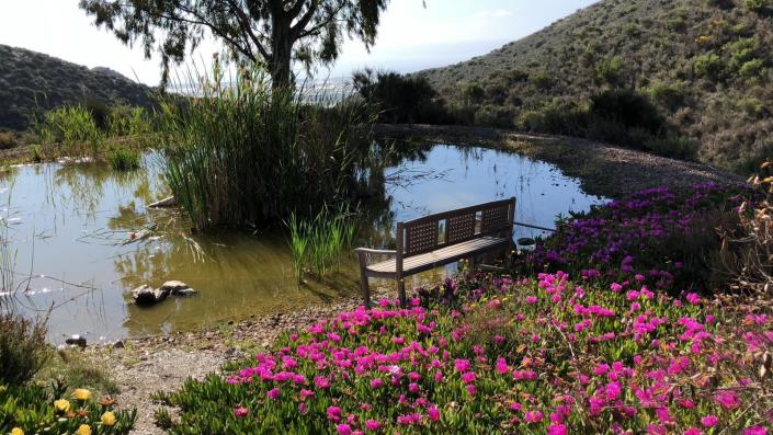 Image No.34-11 Bed Country House for sale