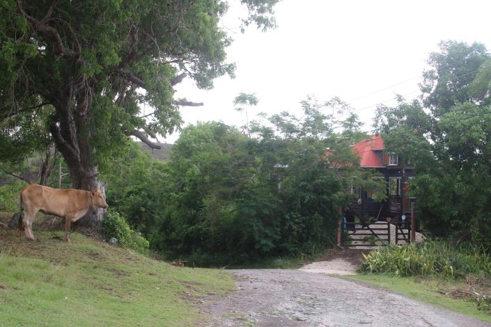 Image No.7-2 Bed House/Villa for sale