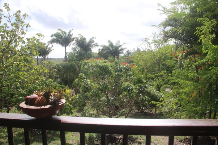 Image No.8-2 Bed House/Villa for sale