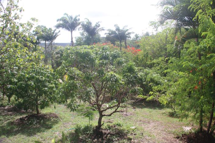 Image No.9-2 Bed House/Villa for sale