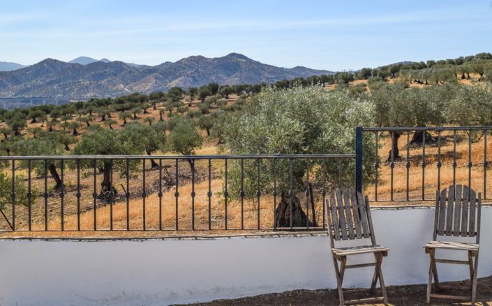 Image No.26-4 Bed Cortijo for sale