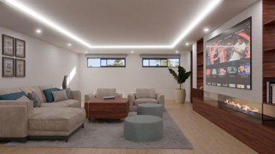 AALTO-SEMI-BASEMENT-CINE