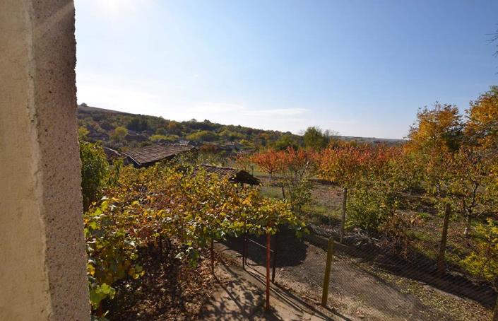 Image No.24-3 Bed House for sale