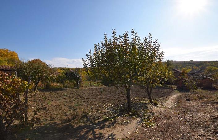 Image No.35-3 Bed House for sale