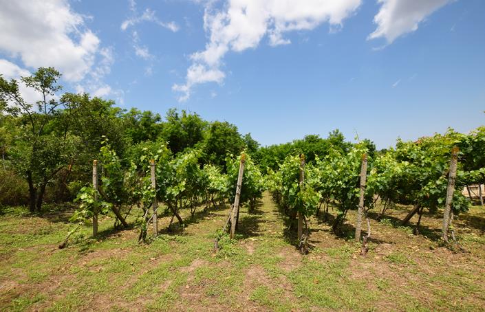 Image No.44-2 Bed House for sale